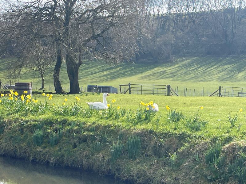 Grange Arch walk with views