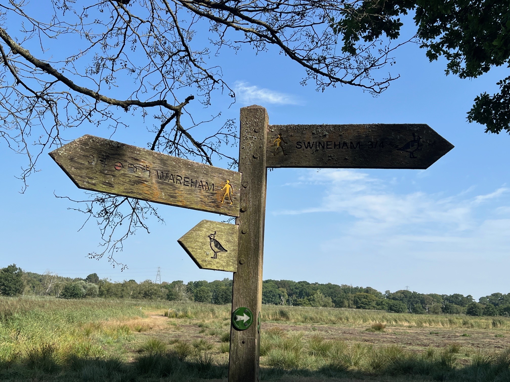 Wareham Wonderful River Walk