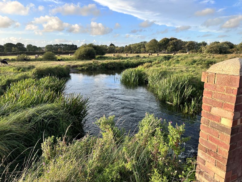Wareham walls, river and Market walk