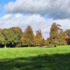 Event gallery photo