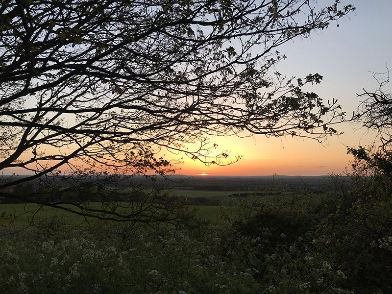 Evening Walk ALDBURY all levels