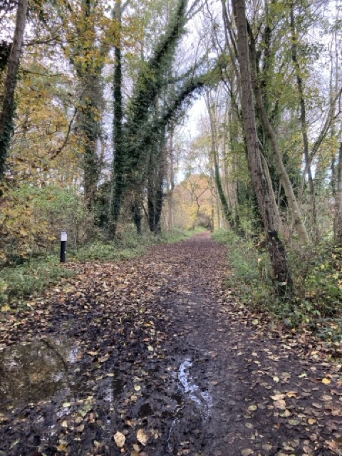 Explorer walk Wootton