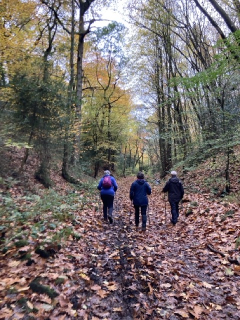 Explorer walk Wootton