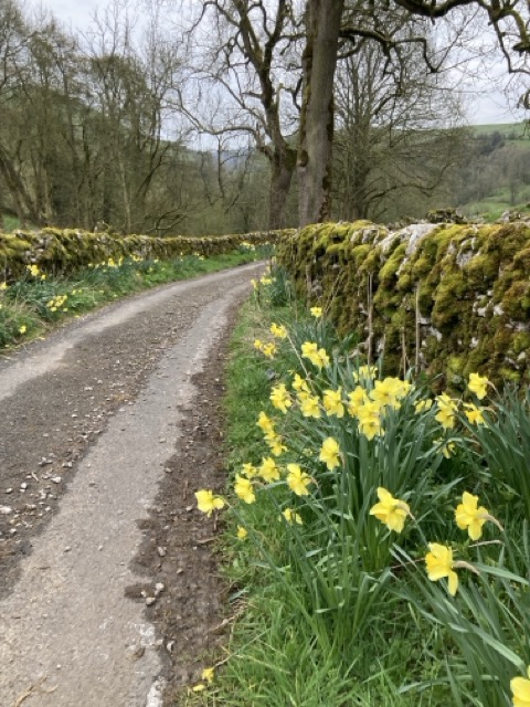 Explorer walk Wootton