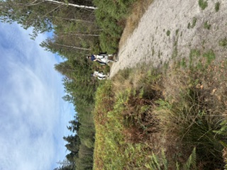 Norley Wood Workout Walk