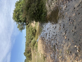 Norley Wood Workout Walk