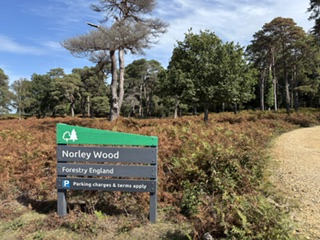 Norley Wood Workout Walk