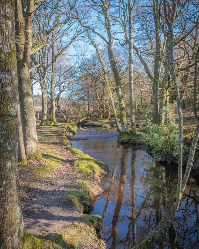 Whitefield Moor Gentle Walk