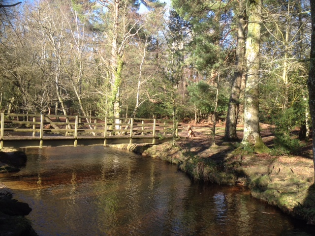 Whitefield Moor Gentle Walk