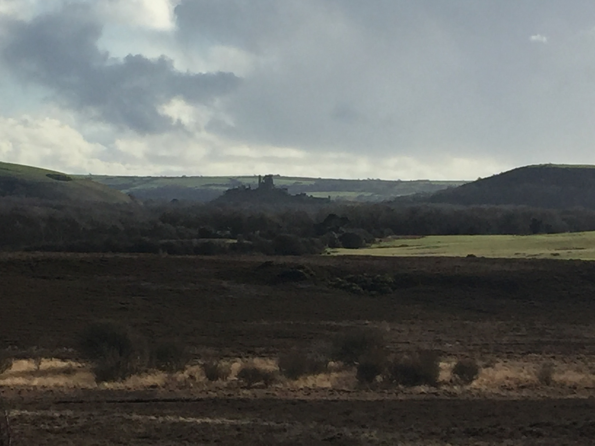 Gentle Walk on Hartland Moor