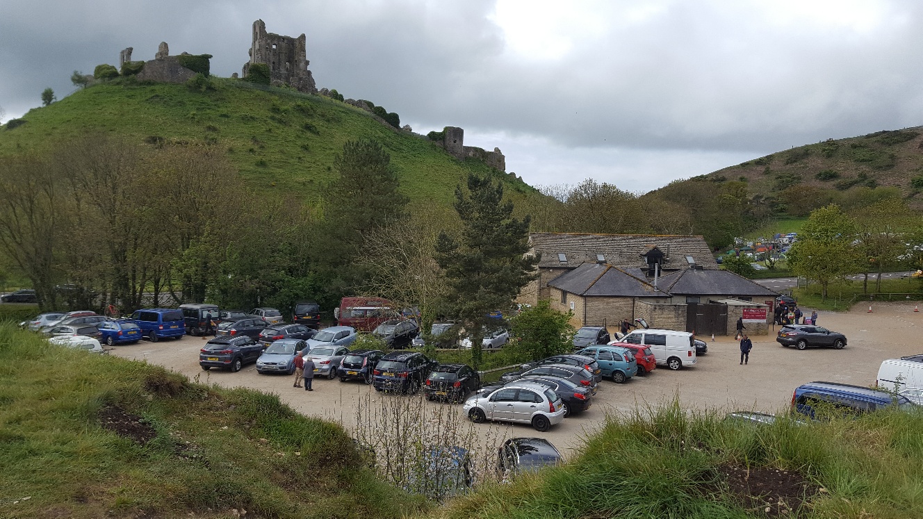 Gentle Walk on Hartland Moor