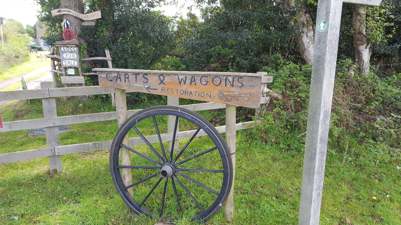 Gentle Walk on Hartland Moor