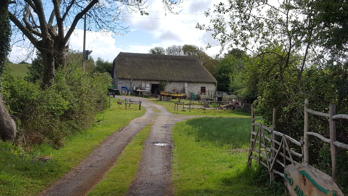 Gentle Walk on Hartland Moor