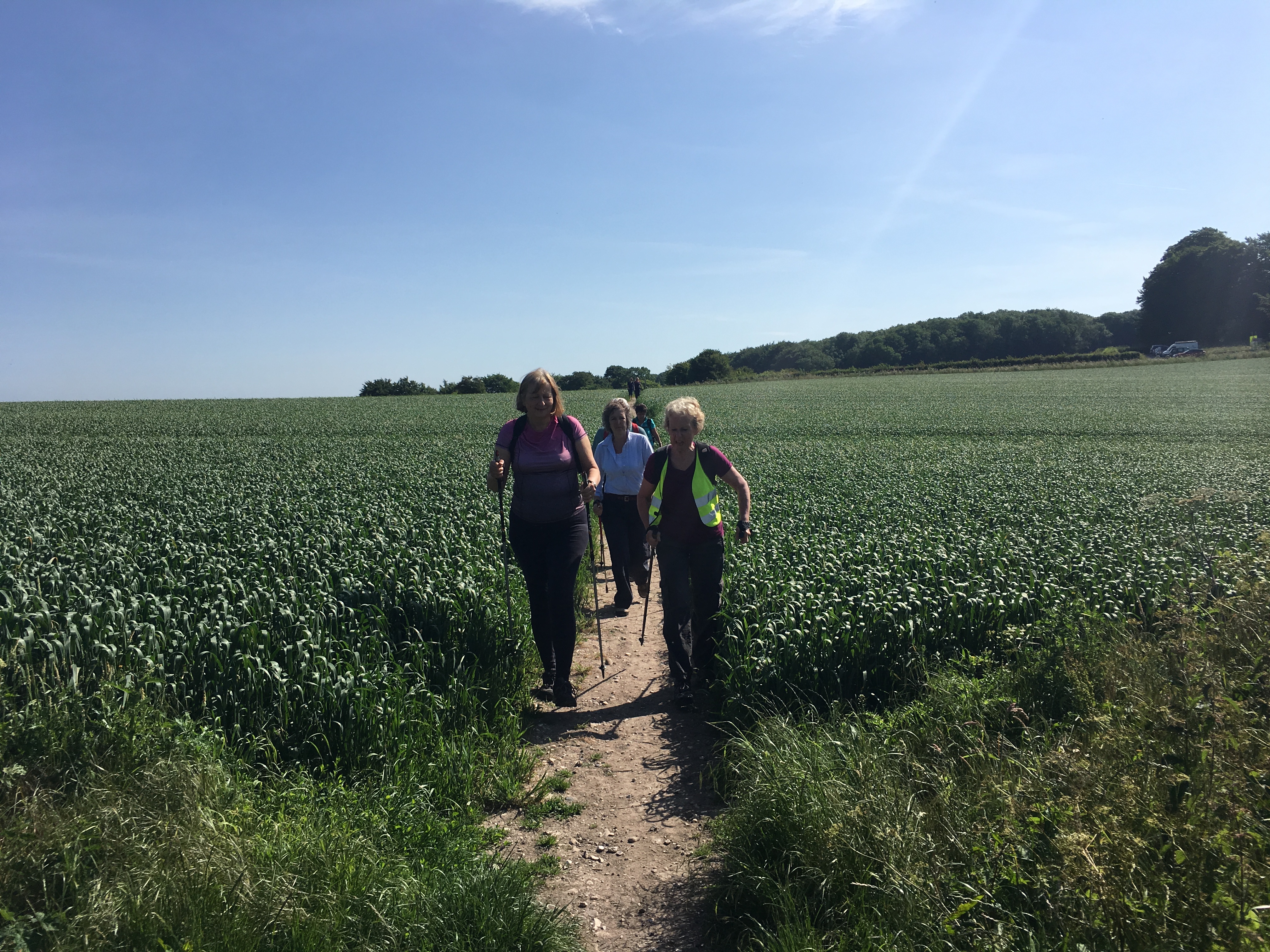 A FASTER PACED WALK (Gear 2 to 3) - Cheesefoot Head to Chilcomb - 5 miles
