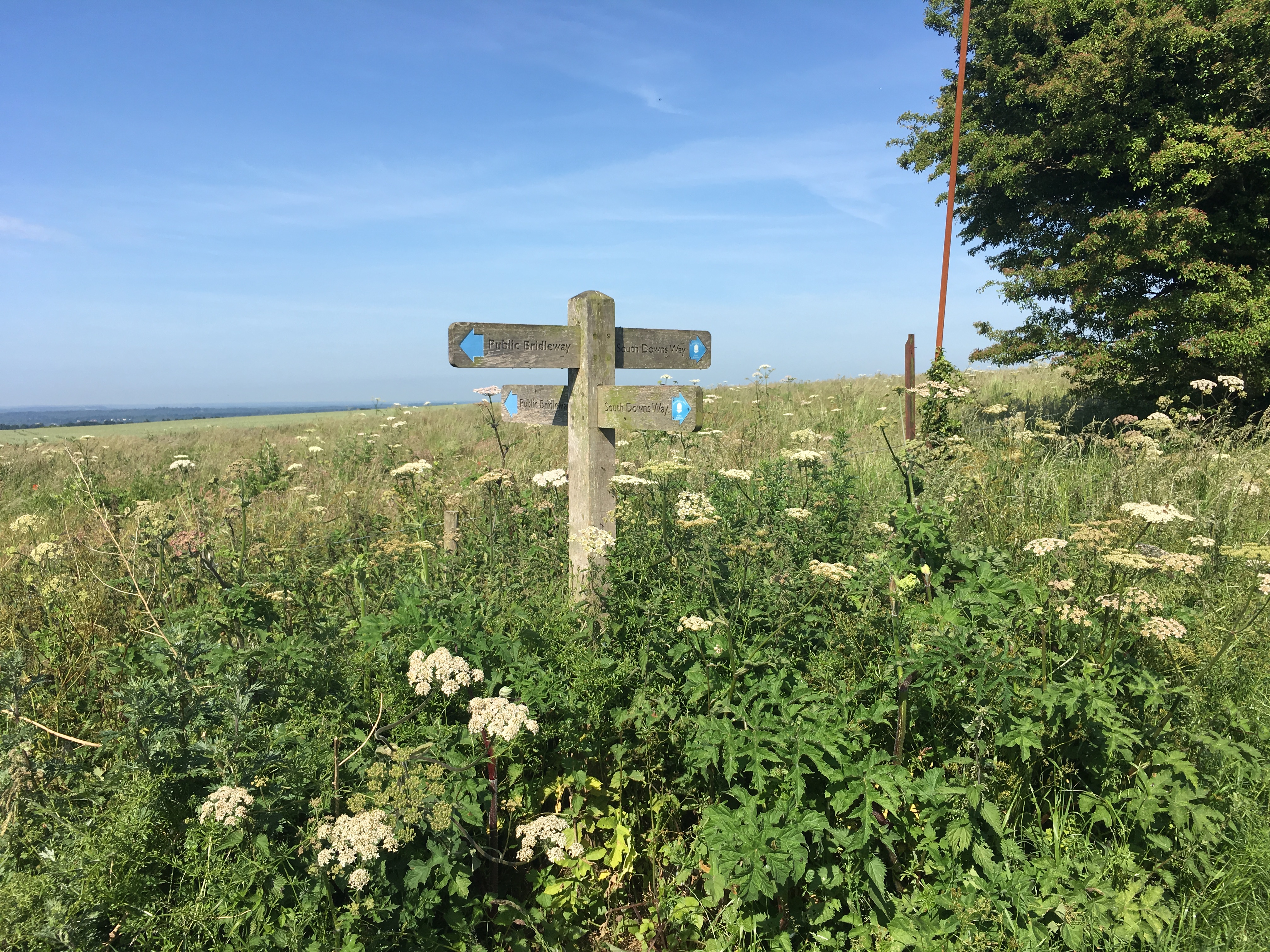 A FASTER PACED WALK (Gear 2 to 3) - Cheesefoot Head to Chilcomb - 5 miles