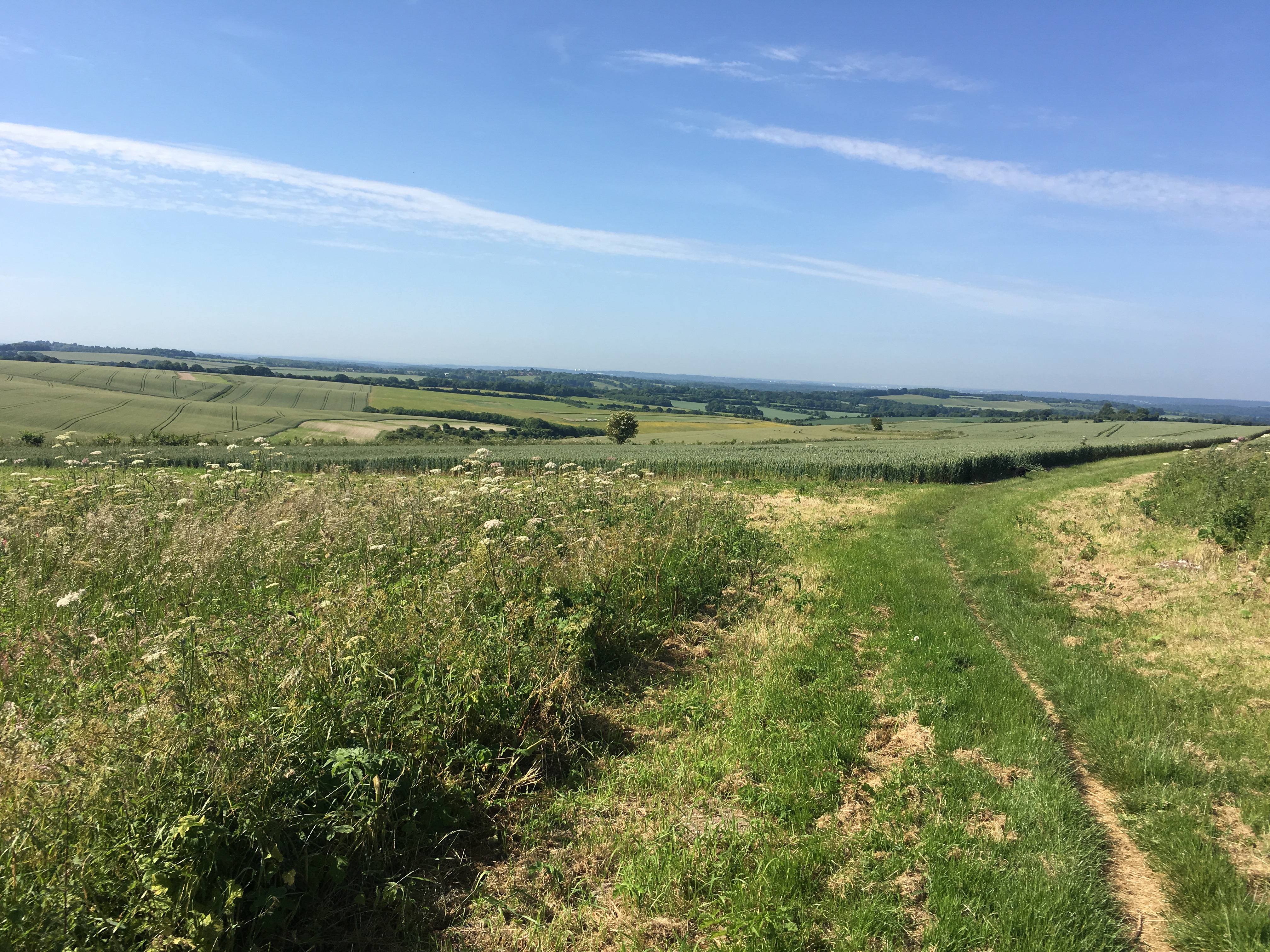 A FASTER PACED WALK (Gear 2 to 3) - Cheesefoot Head to Chilcomb - 5 miles