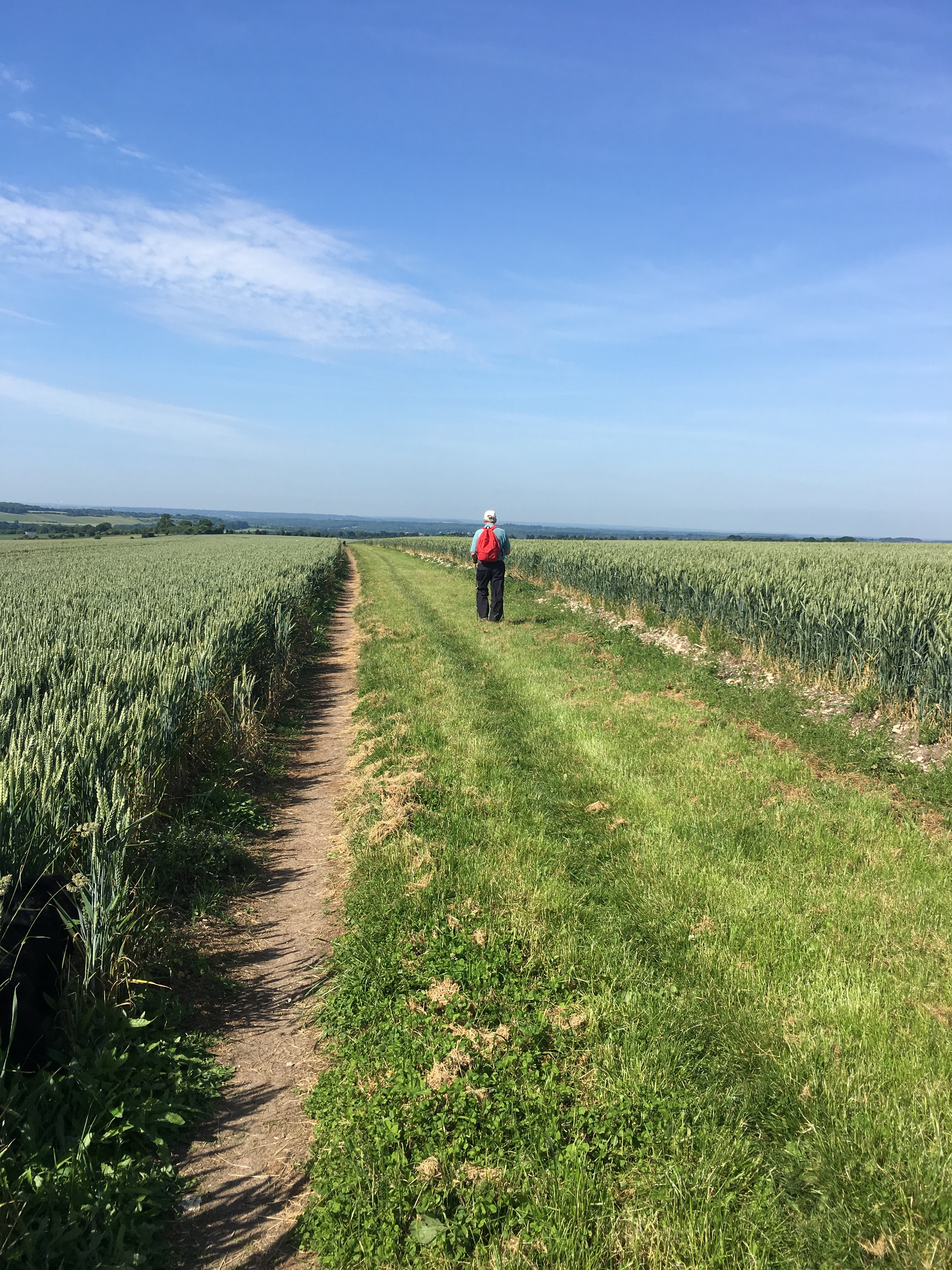 A FASTER PACED WALK (Gear 2 to 3) - Cheesefoot Head to Chilcomb - 5 miles