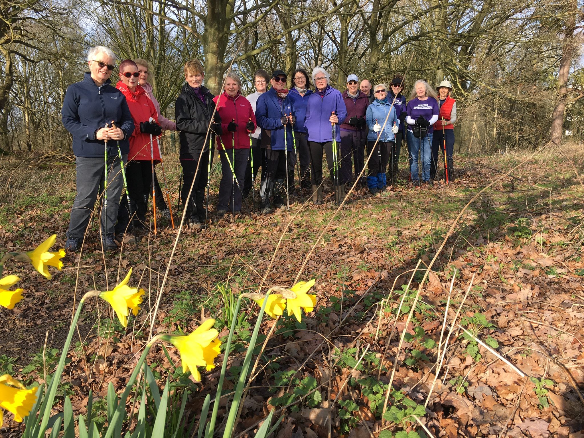 1-1 LEARN TO NORDIC WALK COURSE + FREE WALK + POLE WORKSHOP