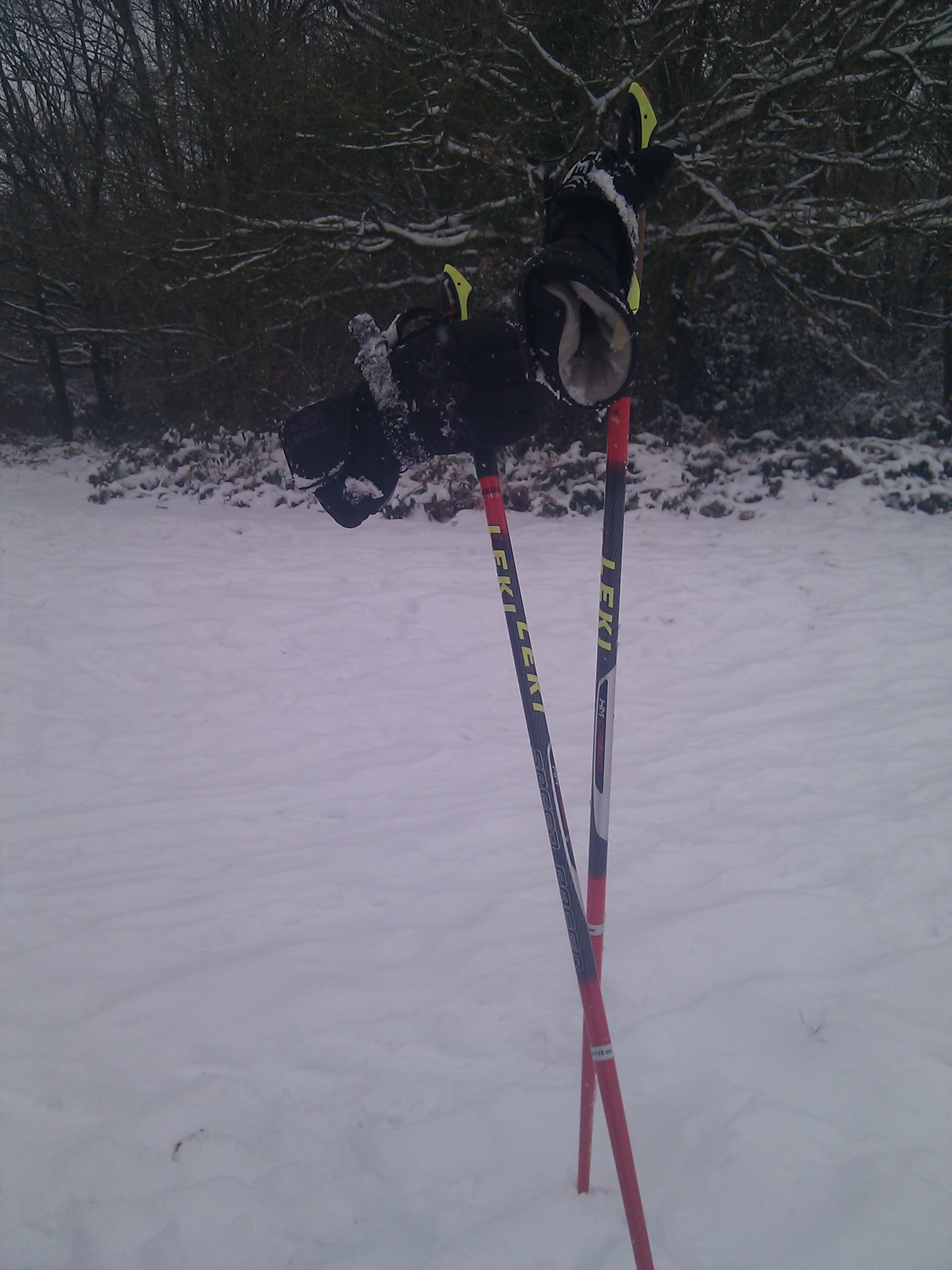 MERRY CHRISTMAS FROM EVERYONE AT WALXRIDGEWAY NO WALK TODAY