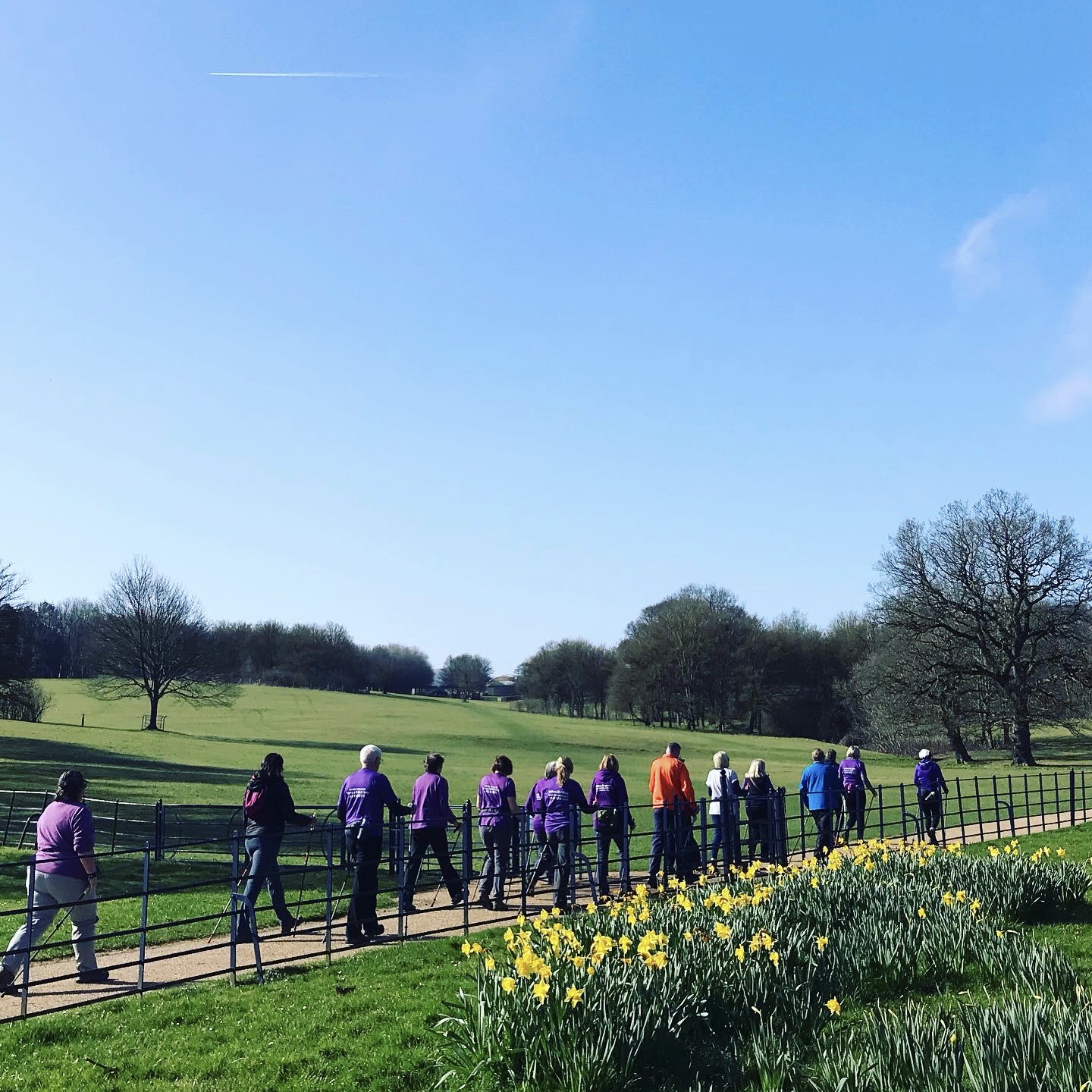 CAMPBELL PARK, GENTLE Walk with Emma, 1hr