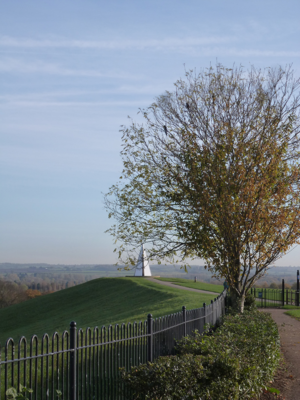 *NEW CAMPBELL PARK, GENTLE Walk with Emma, 1hr