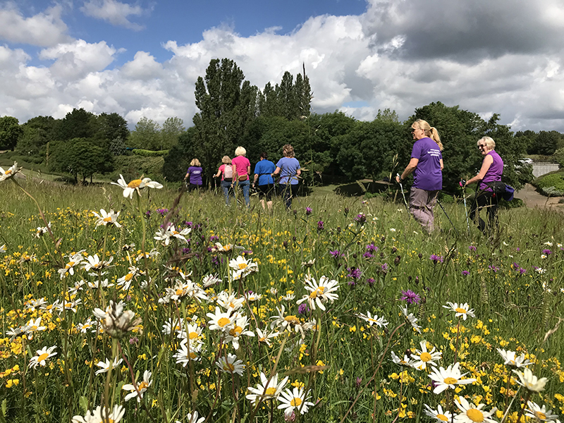 *NEW CAMPBELL PARK, GENTLE Walk with Emma, 1hr