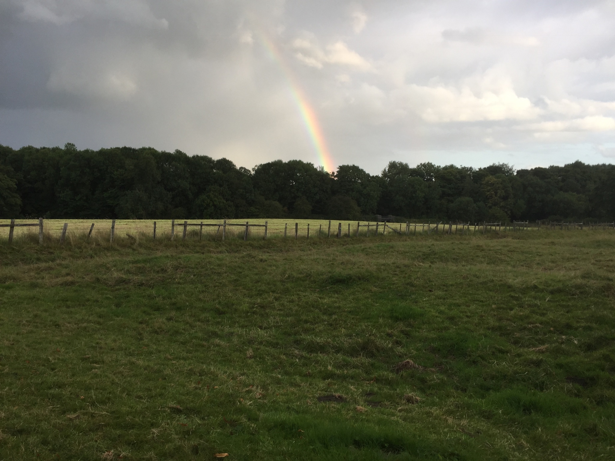 Janneke's Evening Adventure walk, Parwich