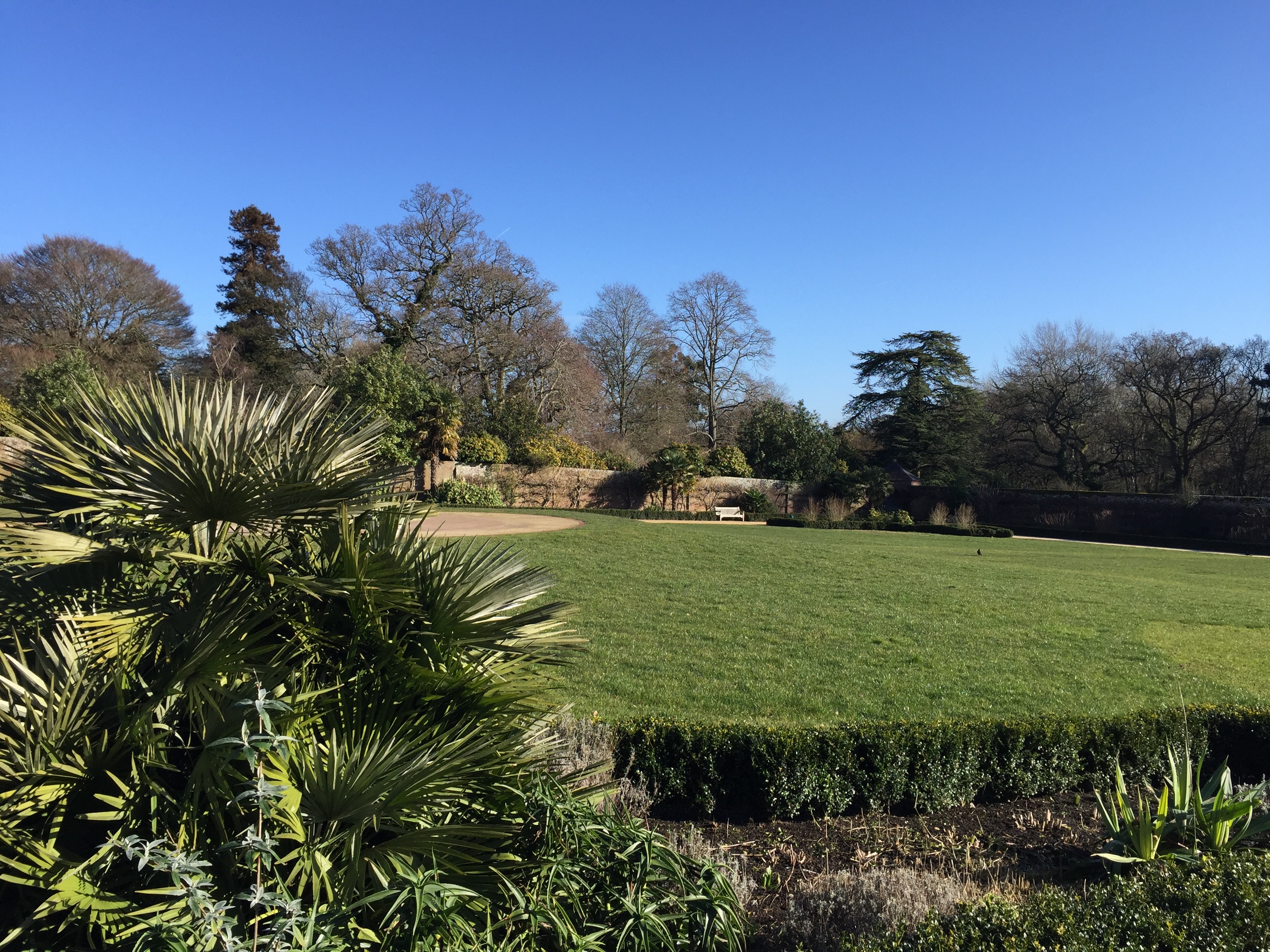 Social walk at Upton Country park