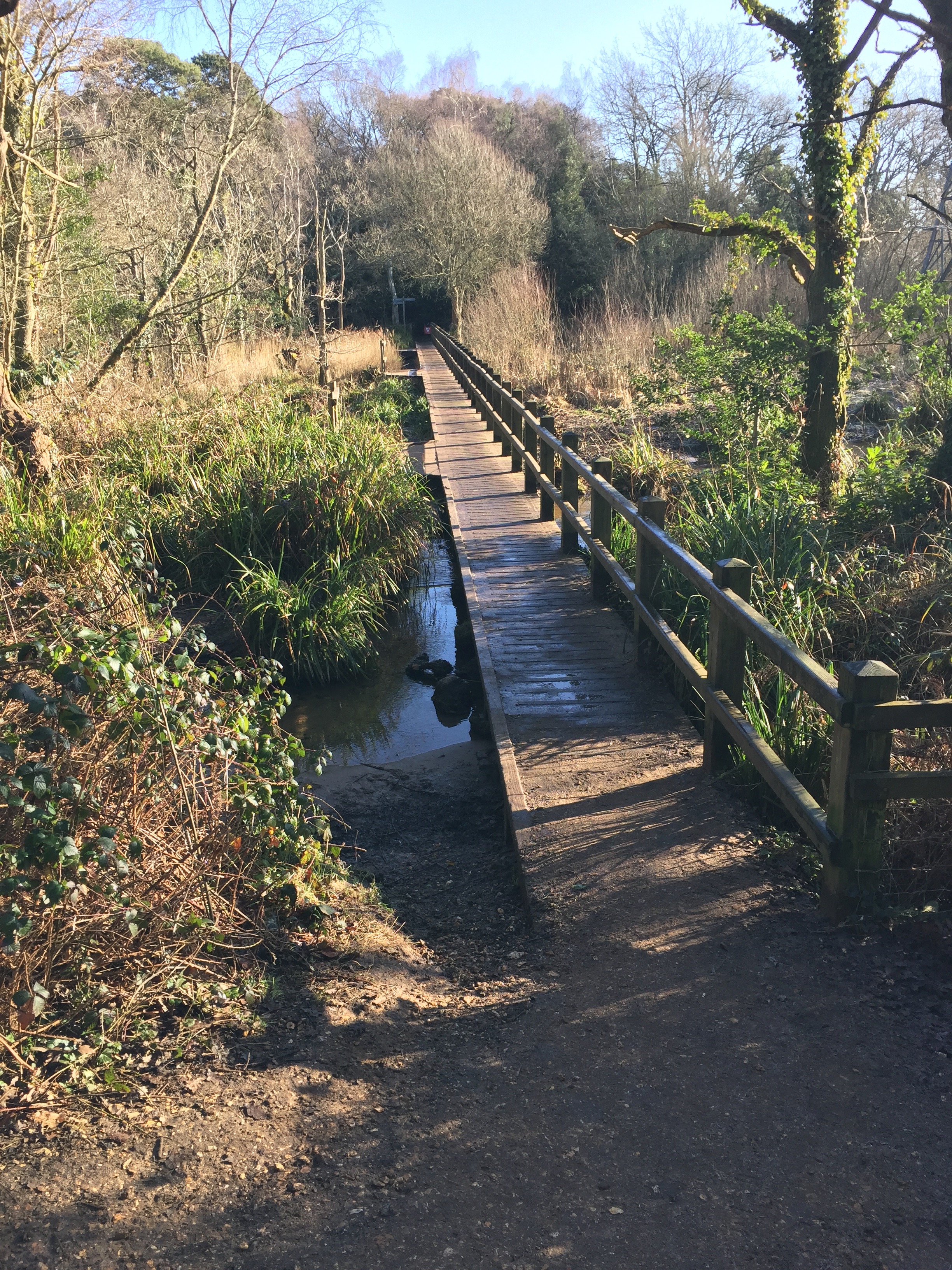 Upton CP Headtorch Walk