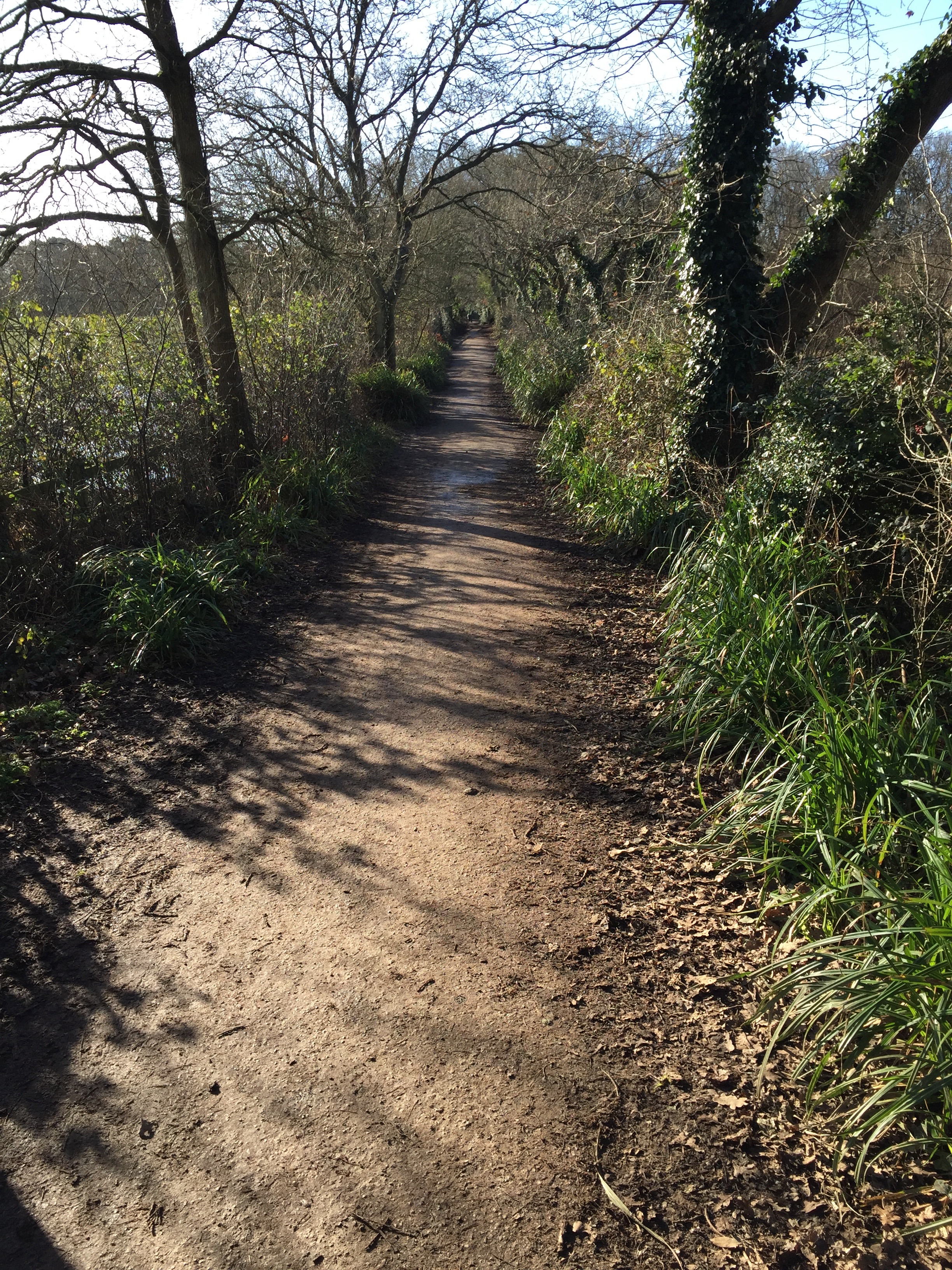 Social walk at Upton Country park