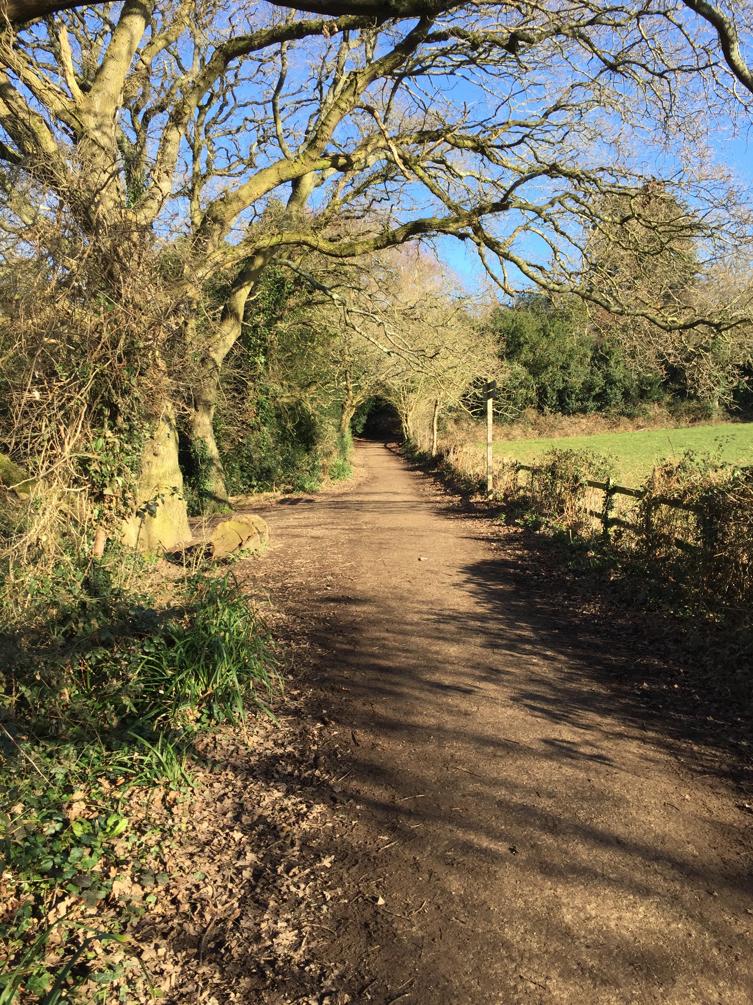 Social walk at Upton Country park