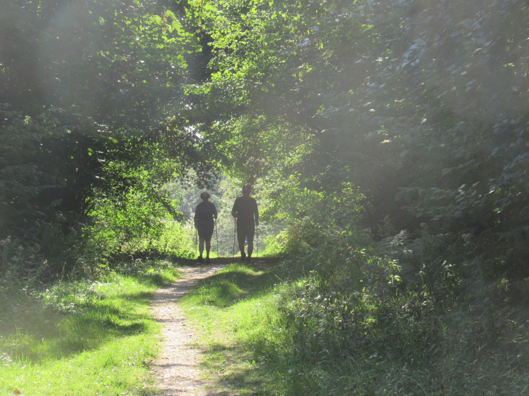 Goring Health Walk