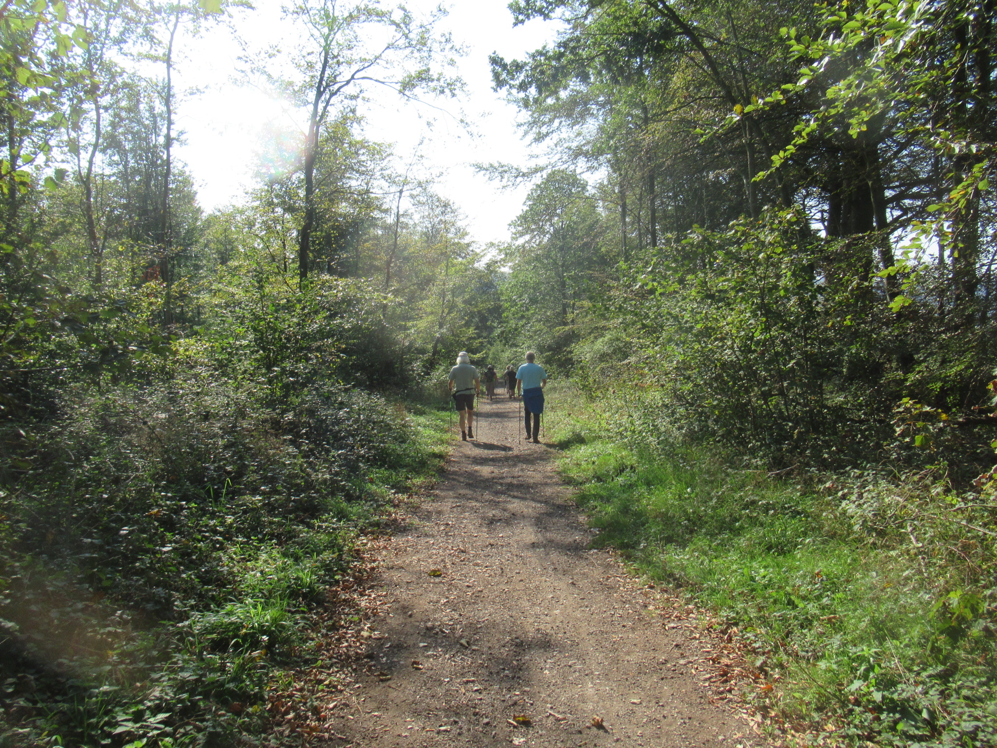 Goring Health Walk