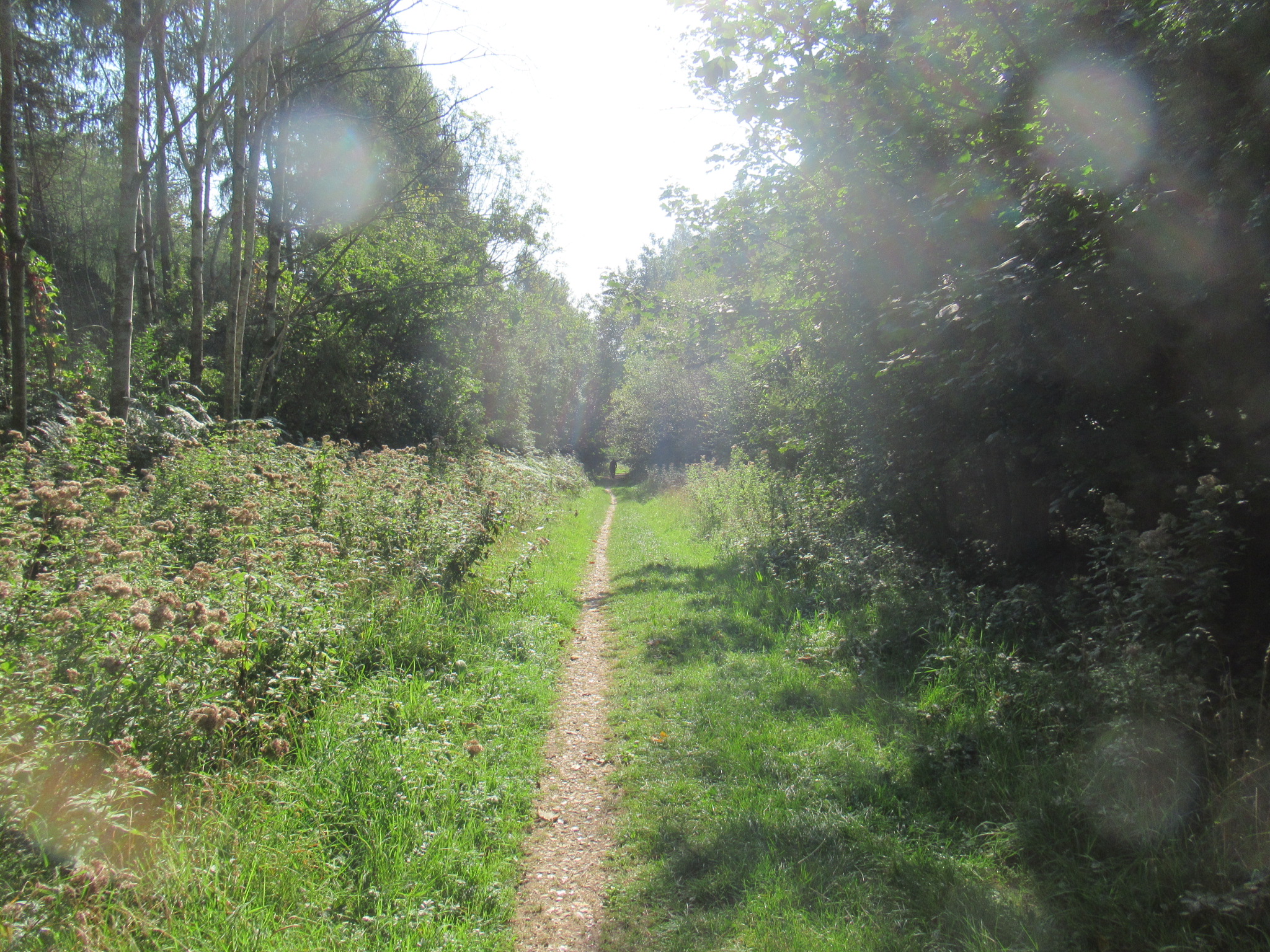 Goring Health Walk