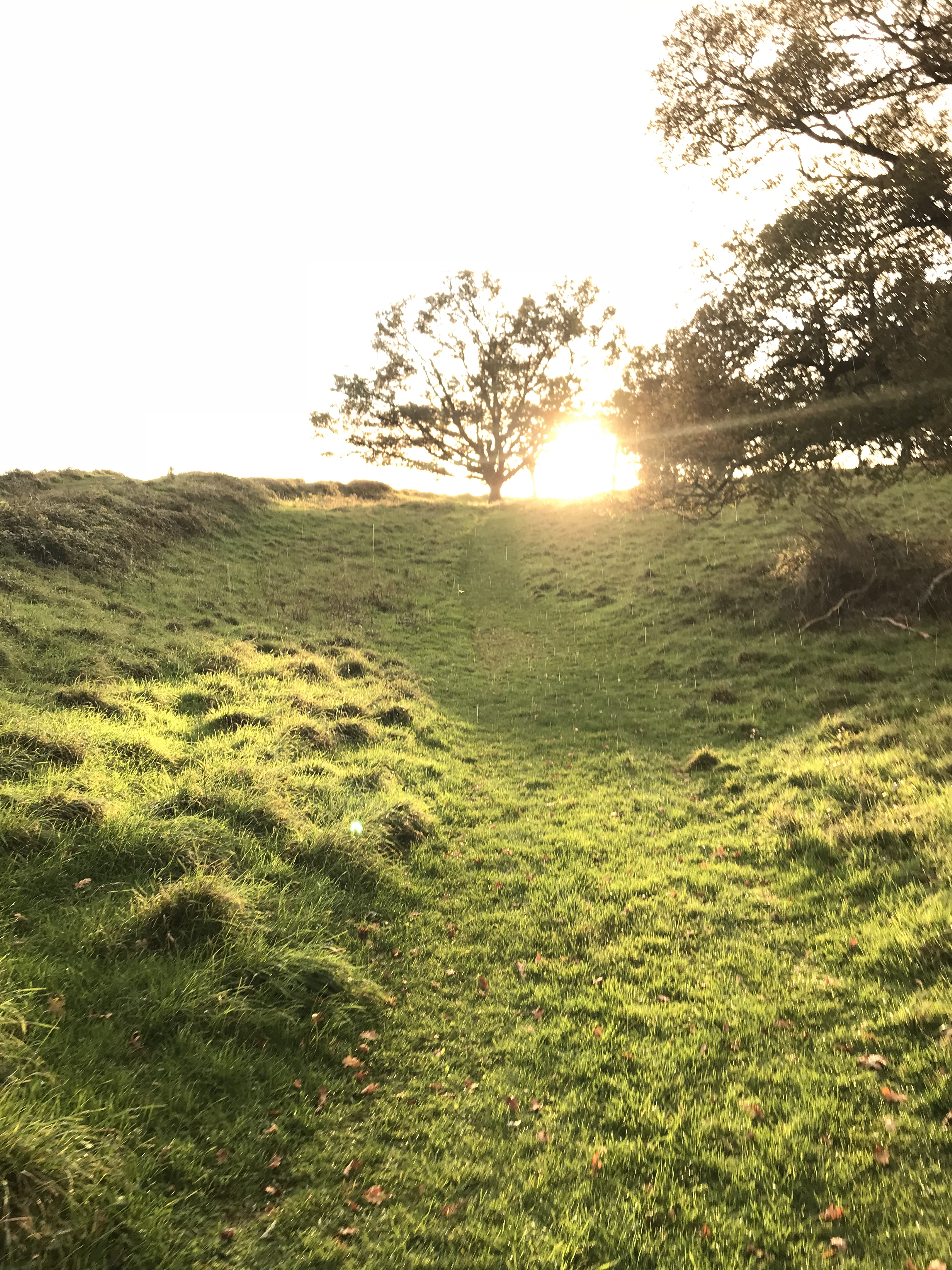 Early Badbury Rings walk