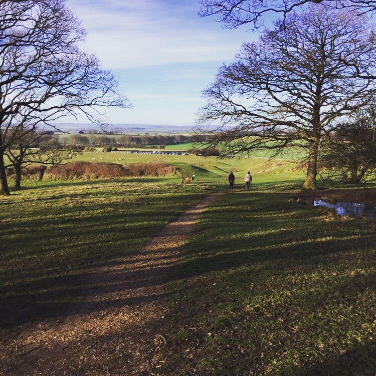 Early Badbury Rings walk