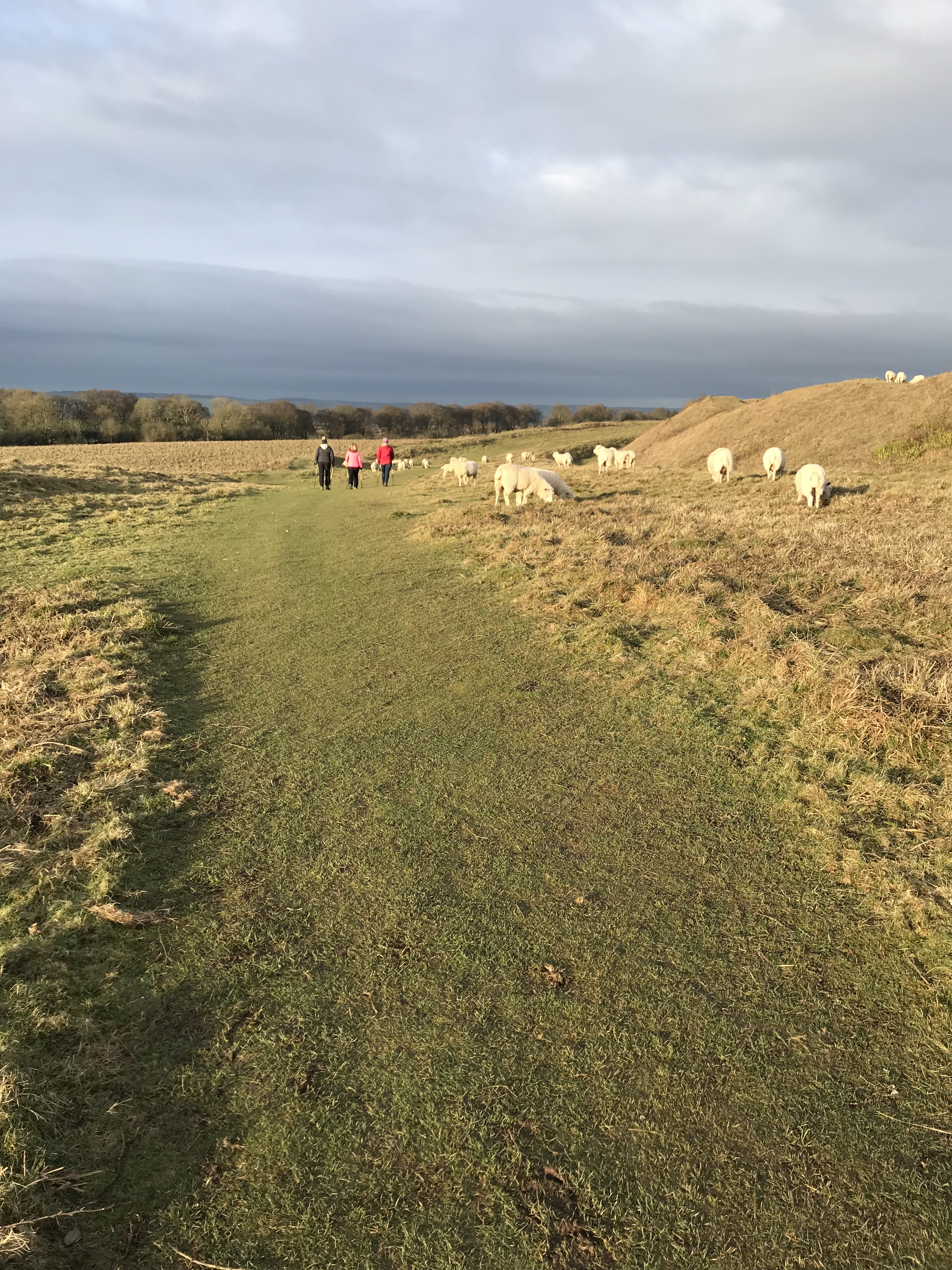 Early Badbury Rings walk