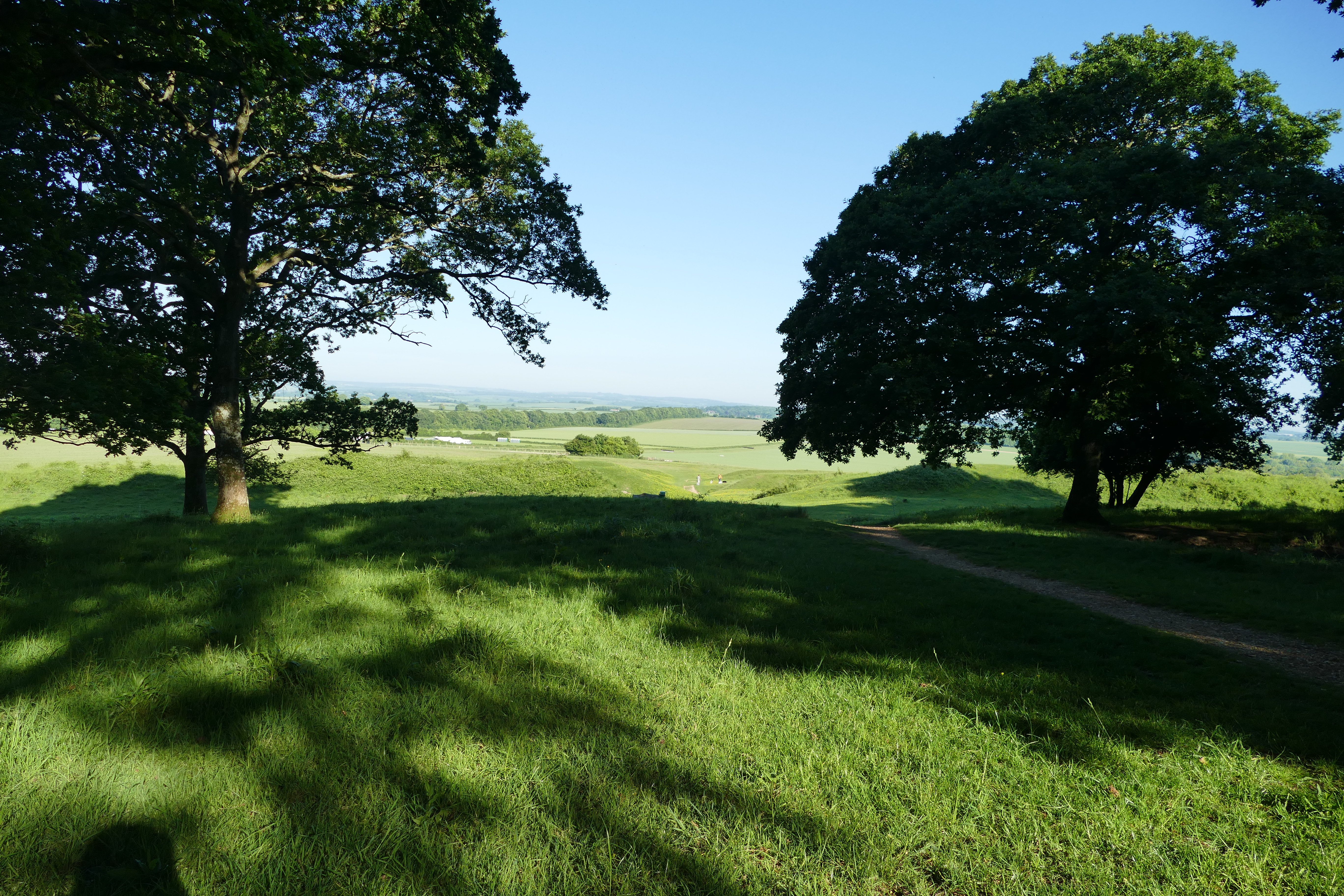 Early Badbury Rings walk