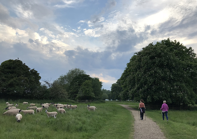 WOUGHTON, 90min Moderate Adventure Walk with Emma