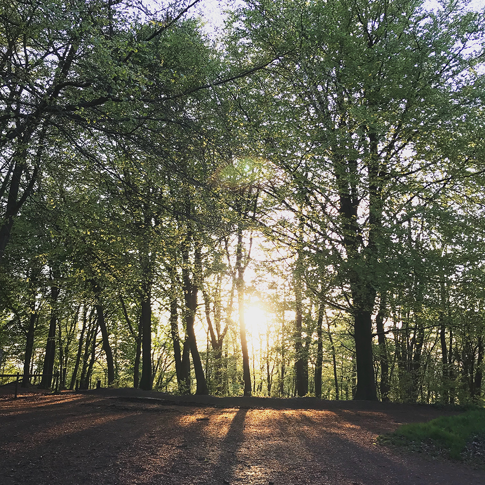 Winter Solstice Sunrise walk frpm Aldbury to Pitstone Hill