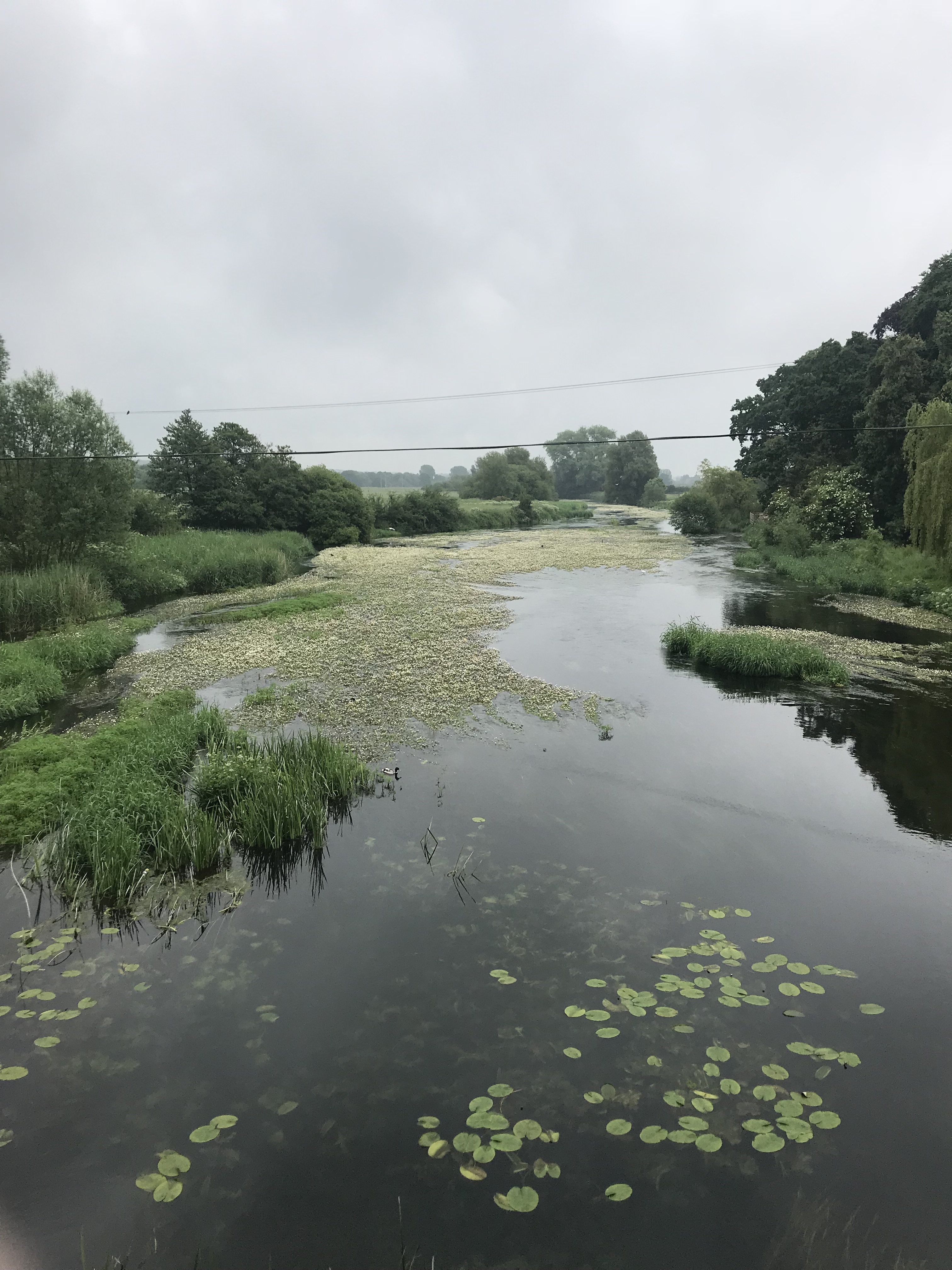 Gentle 3-5 miles distance building along Spetisbury Trailway WK5