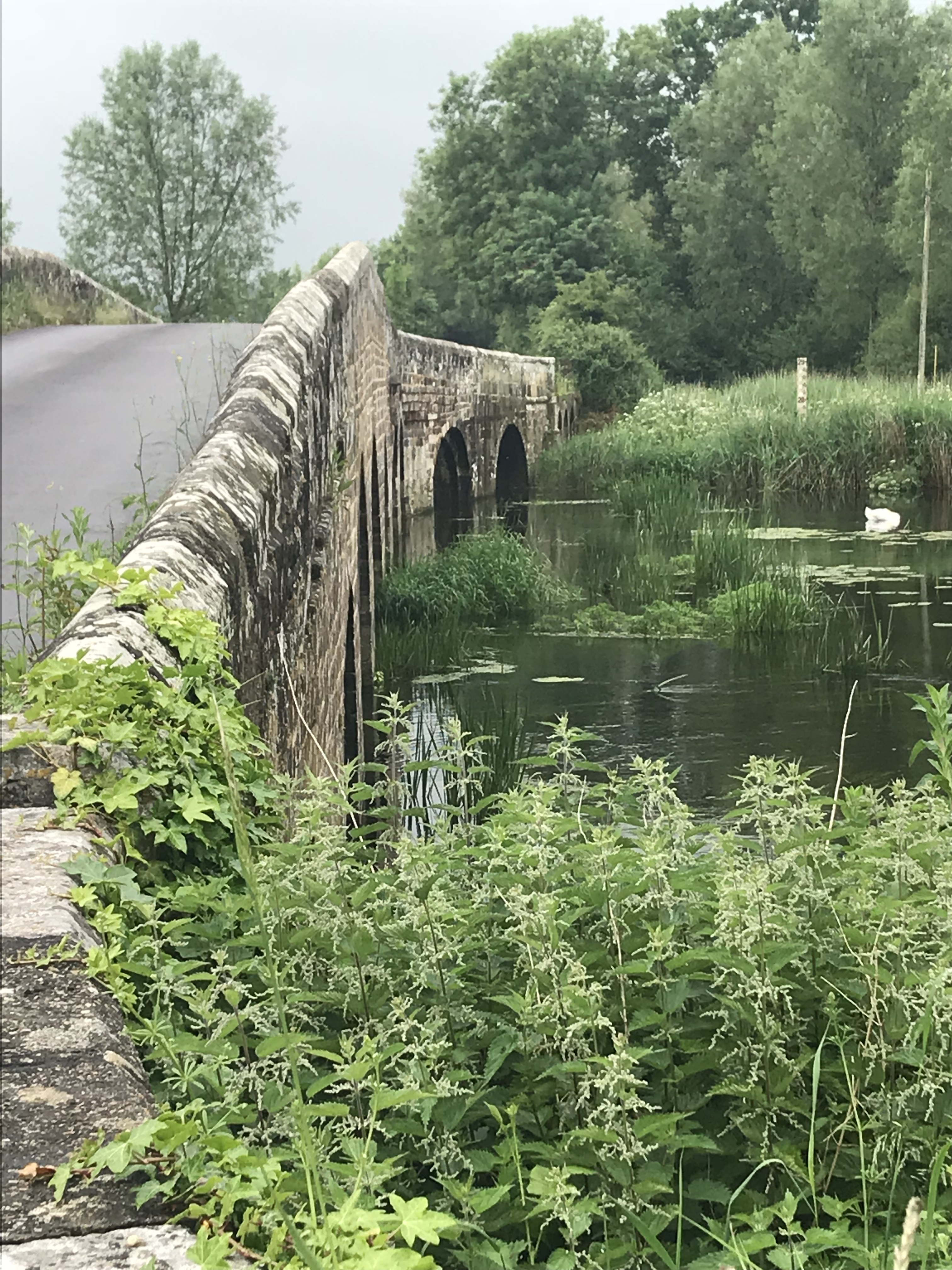 Gentle 3-5 miles distance building along Spetisbury Trailway WK5