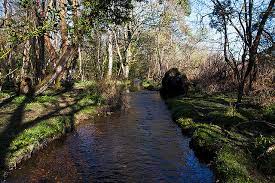 Wootton Bridge Workout Walk