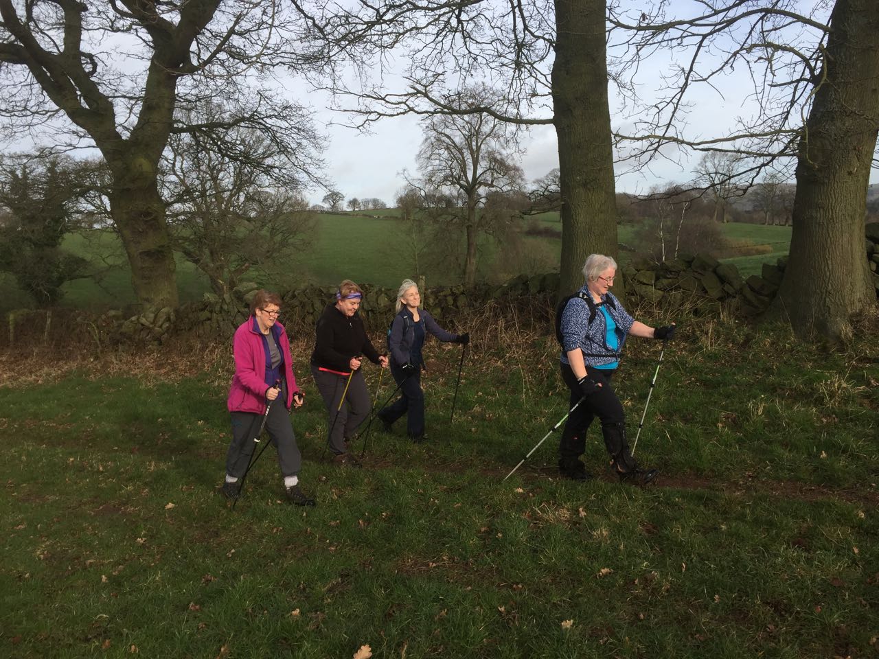 Janneke's morning adventure walk around Froghall Wharf