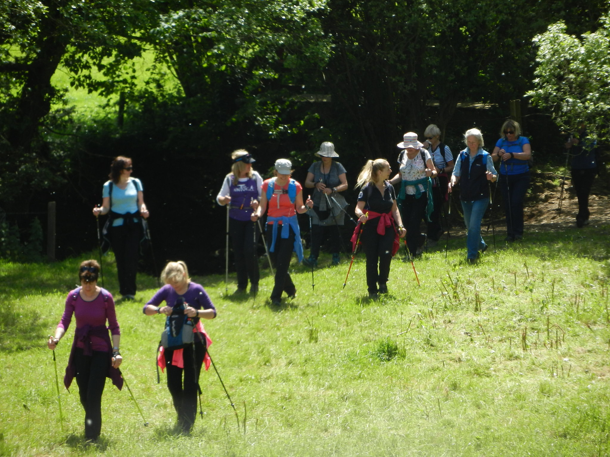 Harmans cross to Corfe Castle walk with steam train ride back