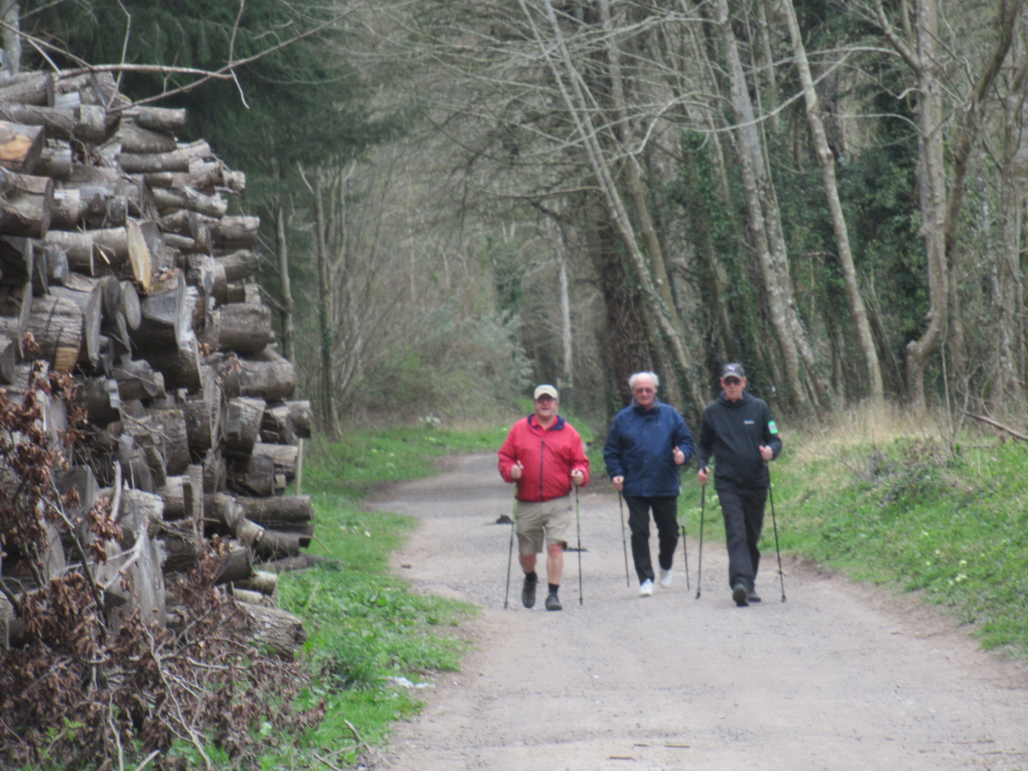 Midweek 60 minute Walk - (Pace 1 - 2) - Dover Lane