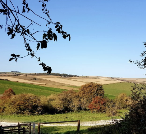 Challenge Walk - Cissbury (Pace 2+)