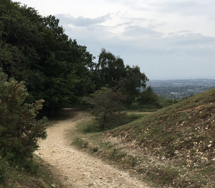 Challenge Walk - Cissbury (Pace 2+)