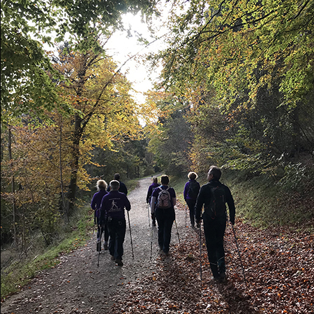 Weekend WORKOUT Walk! Aspley Woods, 90mins with Emma