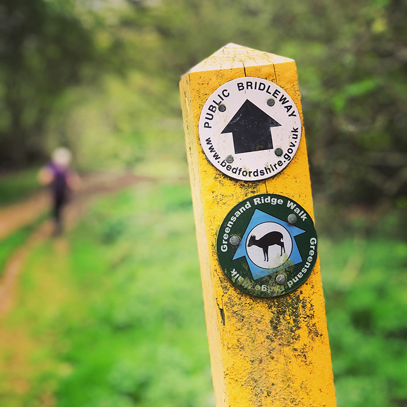 ASPLEY WOODS 90min Moderate Adventure Walk with Emma